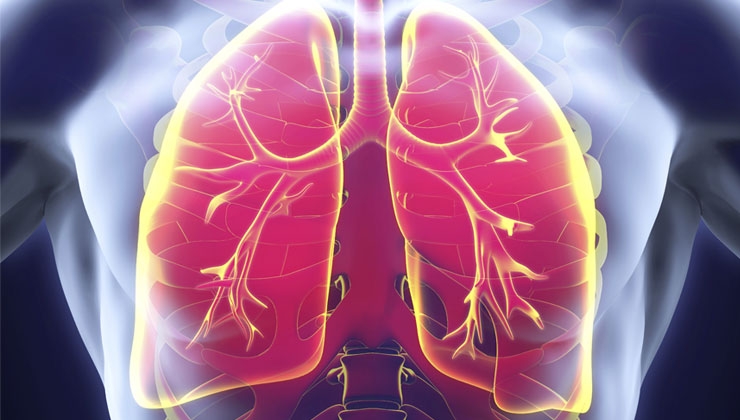 Wie funktioniert unsere Atmung? Ein Kurzüberblick