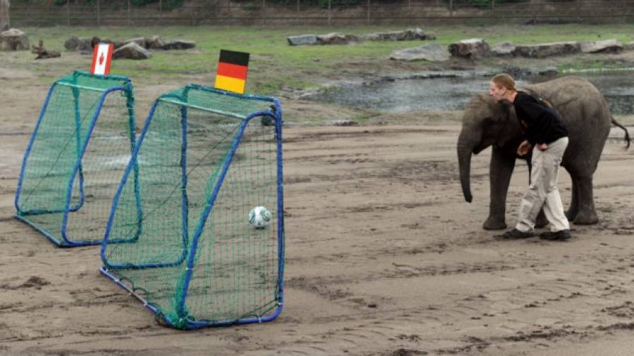 Einmal lächeln bitte – Kurioses und ein bisschen Spaß aus der WM-Vorrunde