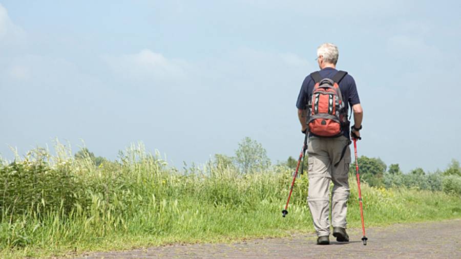 So gesund ist Nordic Walking 