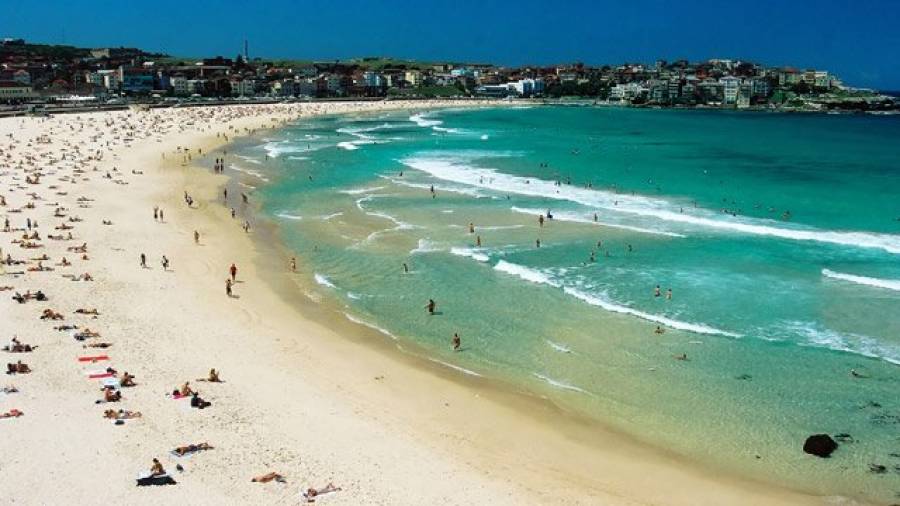 Surfen am Bondi Beach in Sydney