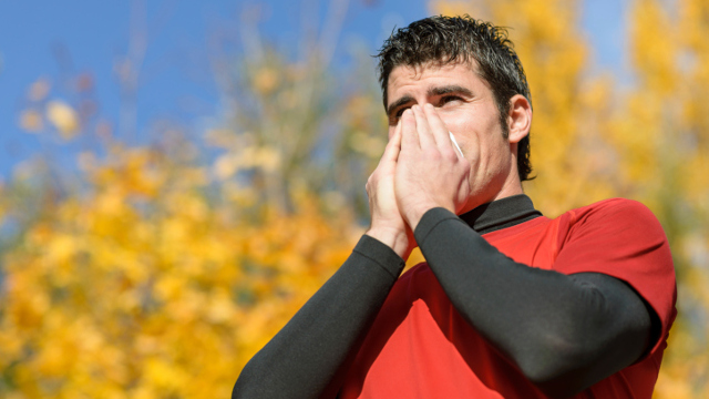 Allergie-Alarm – Pollen fliegen früher